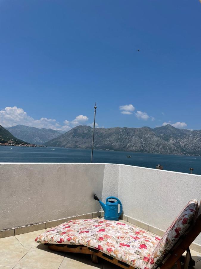 Apartment Jovana كوتور المظهر الخارجي الصورة